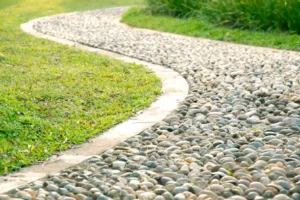 istockphoto-172373570-612x612-1