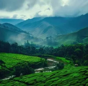 luxury_rehab_india-370x360-1-300x292