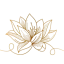 lotus-removebg-preview