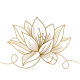 lotus-removebg-preview